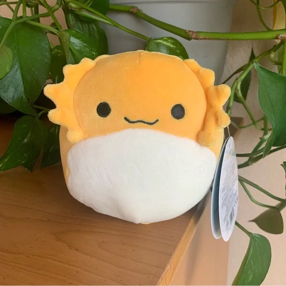 5” Bertwin the Bearded Dragon | Squishmallows - Picture 5 of 5